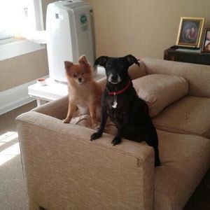 Meet your Posher, Stephanie